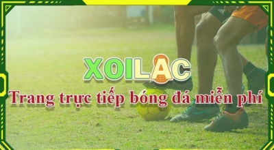 Xem bóng đá - Điểm dừng chân hoàn hảo cho tín đồ túc cầu